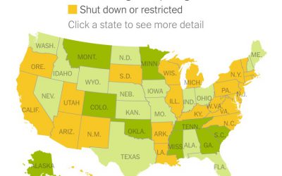 “See Which States Are Reopening and Which Are Still Shut Down” By Sarah Mervosh, Jasmine C. Lee, Lazaro Gamio and Nadja Popovich via The New York Times