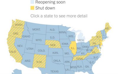 “See Which States Are Reopening and Which Are Still Shut Down” By Sarah Mervosh, Jasmine C. Lee, Lazaro Gamio and Nadja Popovich (Updated May 21, 2020)