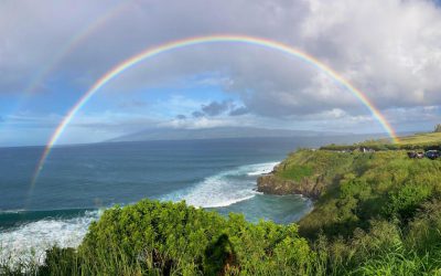 “Surfer Attacked by Shark at Honolua Bay During the Maui Pro Has Died” by Joe Carberry via The Inertia