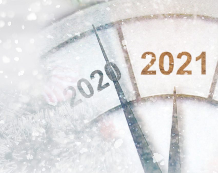 “Ten Leadership Lessons from 2020” By Deborah Patton via The Robin Report