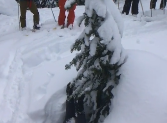 “College Students Develop Device to Save Skiers and Riders Trapped in Tree Wells” by Cooper Gegan via The Inertia